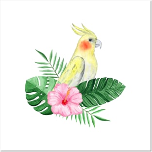 tropical bird Posters and Art